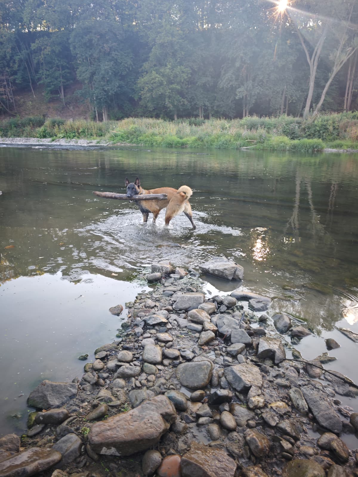 szkolenie rzeka plywanie