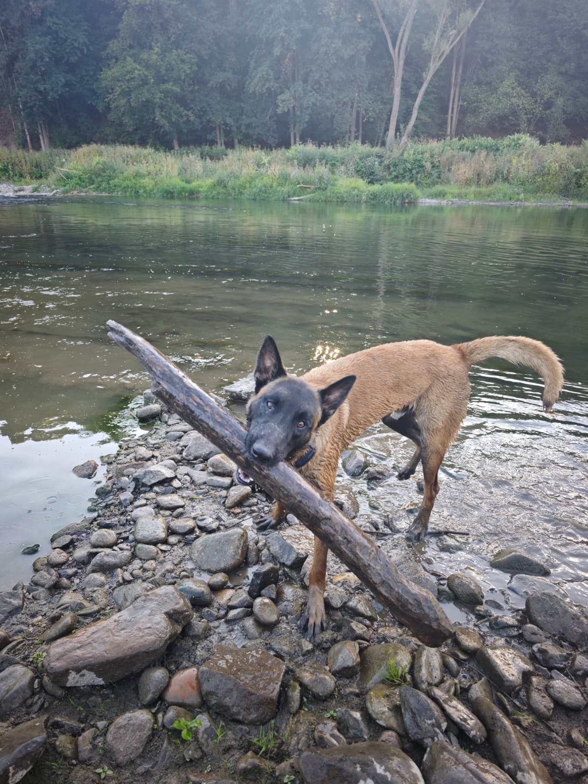 szkolenie rzeka palka