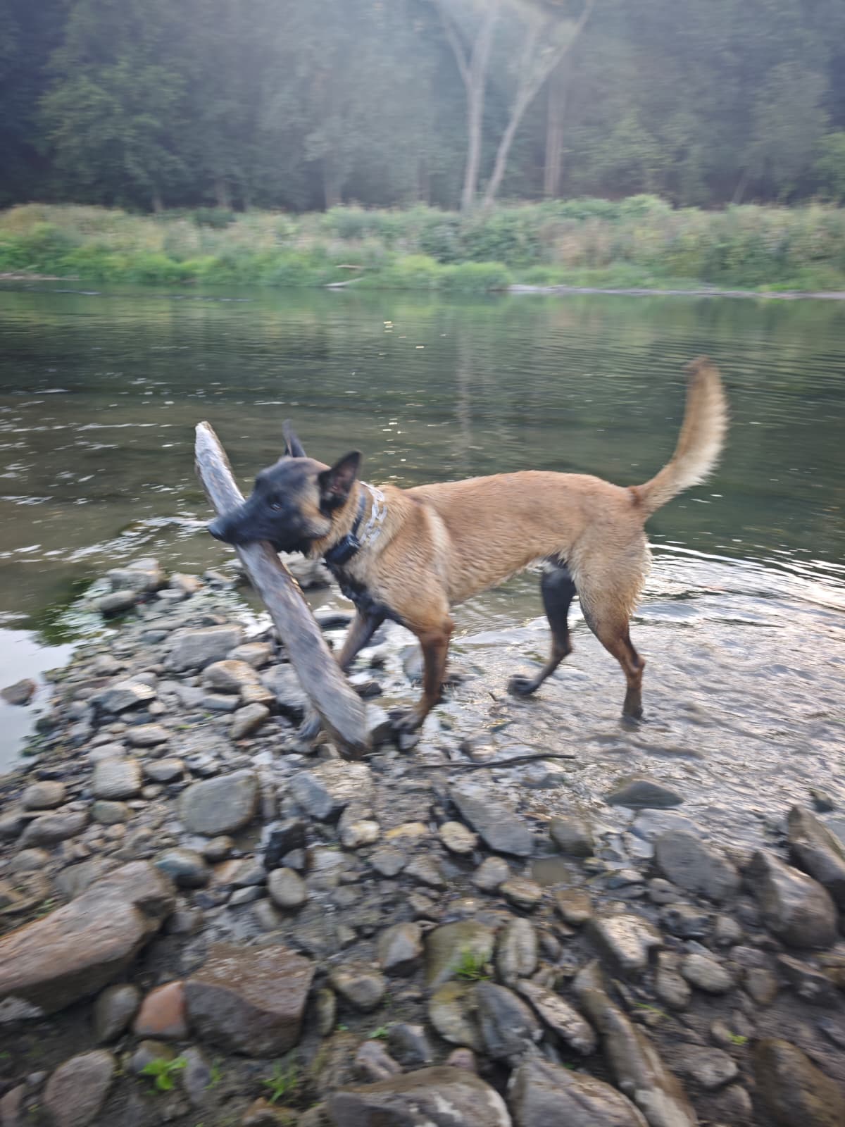 szkolenie rzeka wyjscie