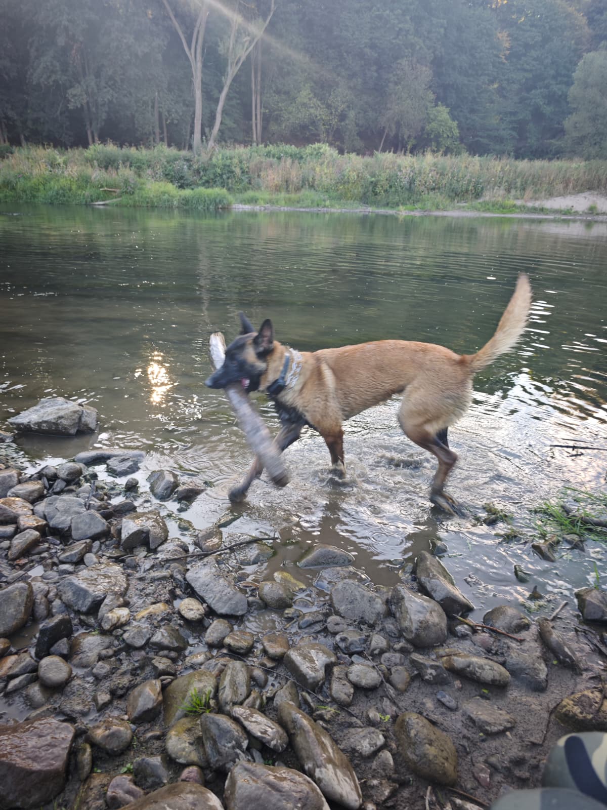 szkolenie rzeka brzeg