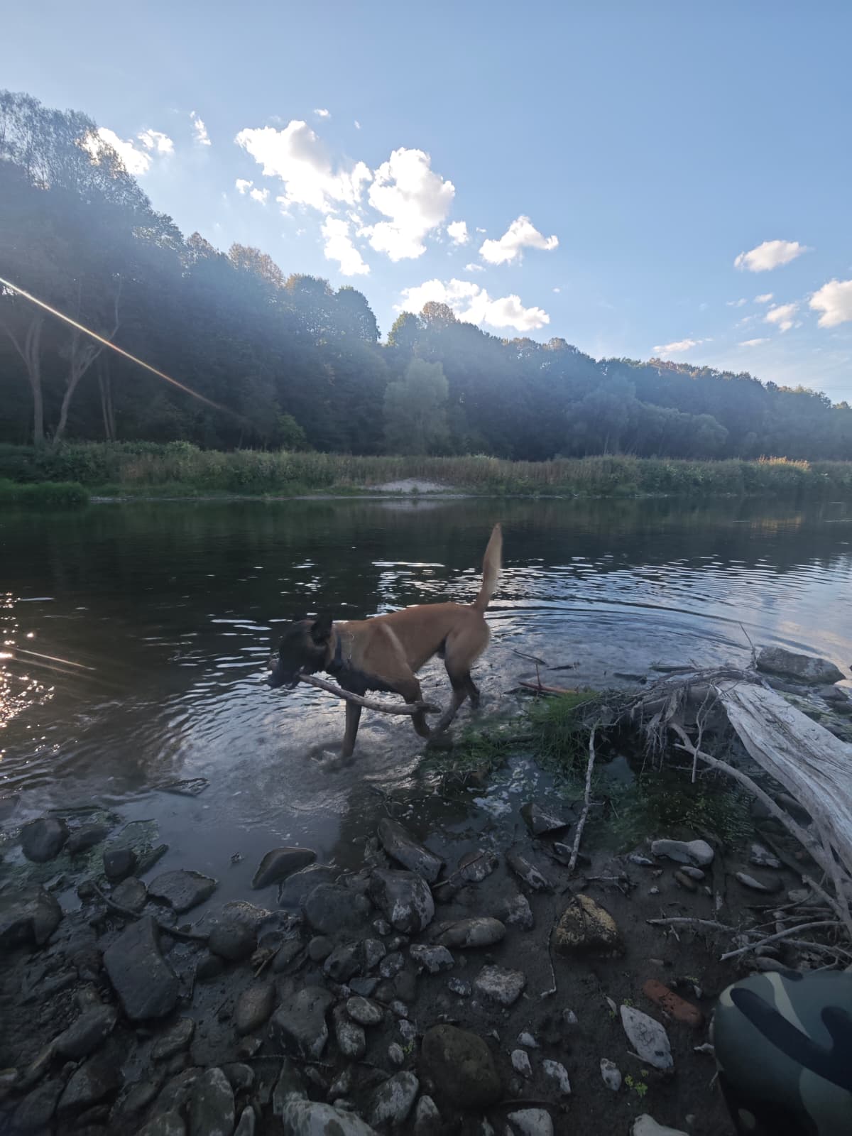 szkolenie rzeka widok