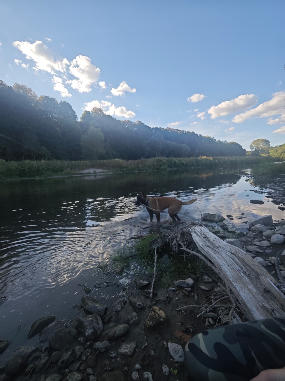 szkolenie rzeka wieczor
