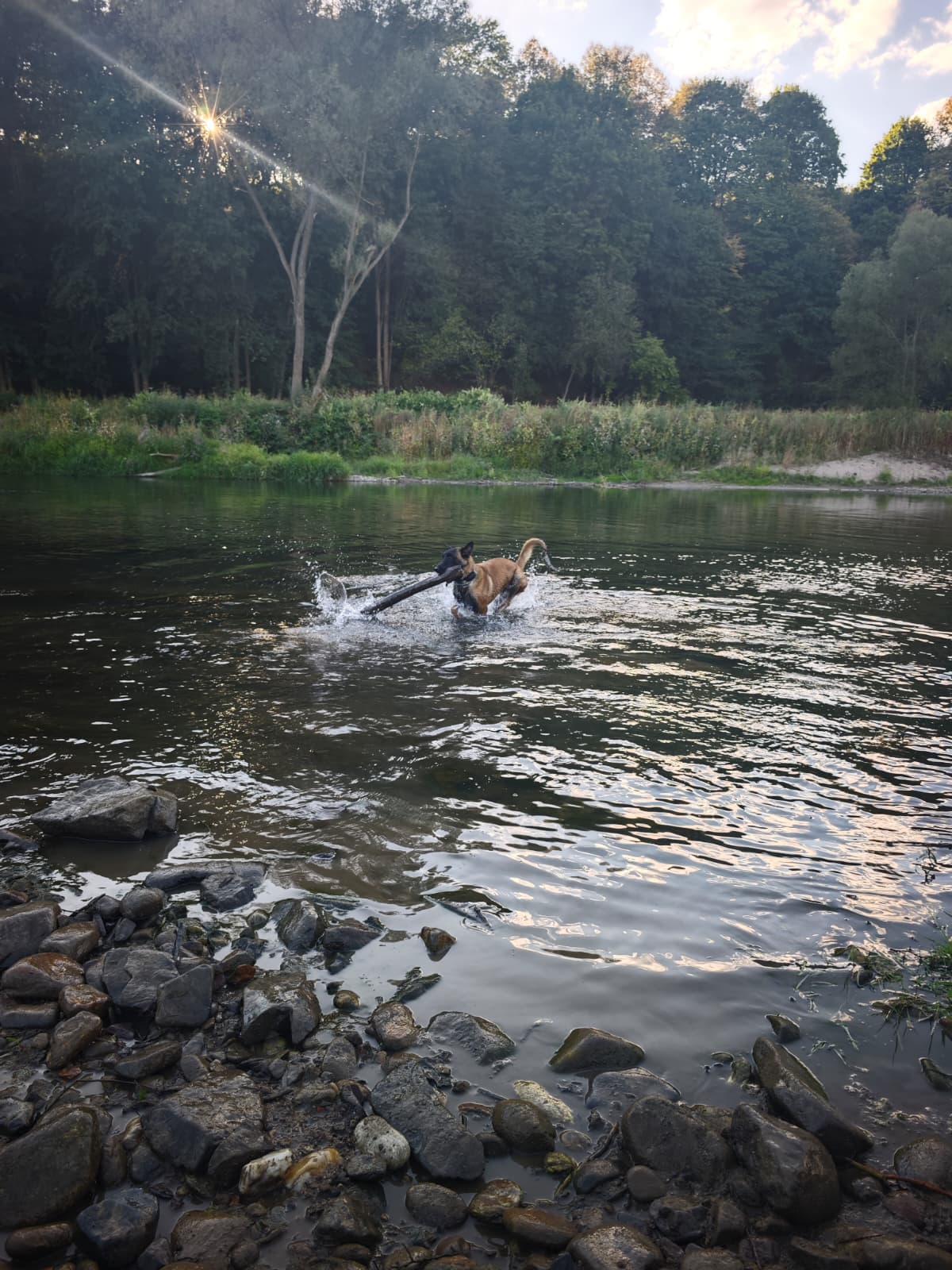 szkolenie rzeka zachod