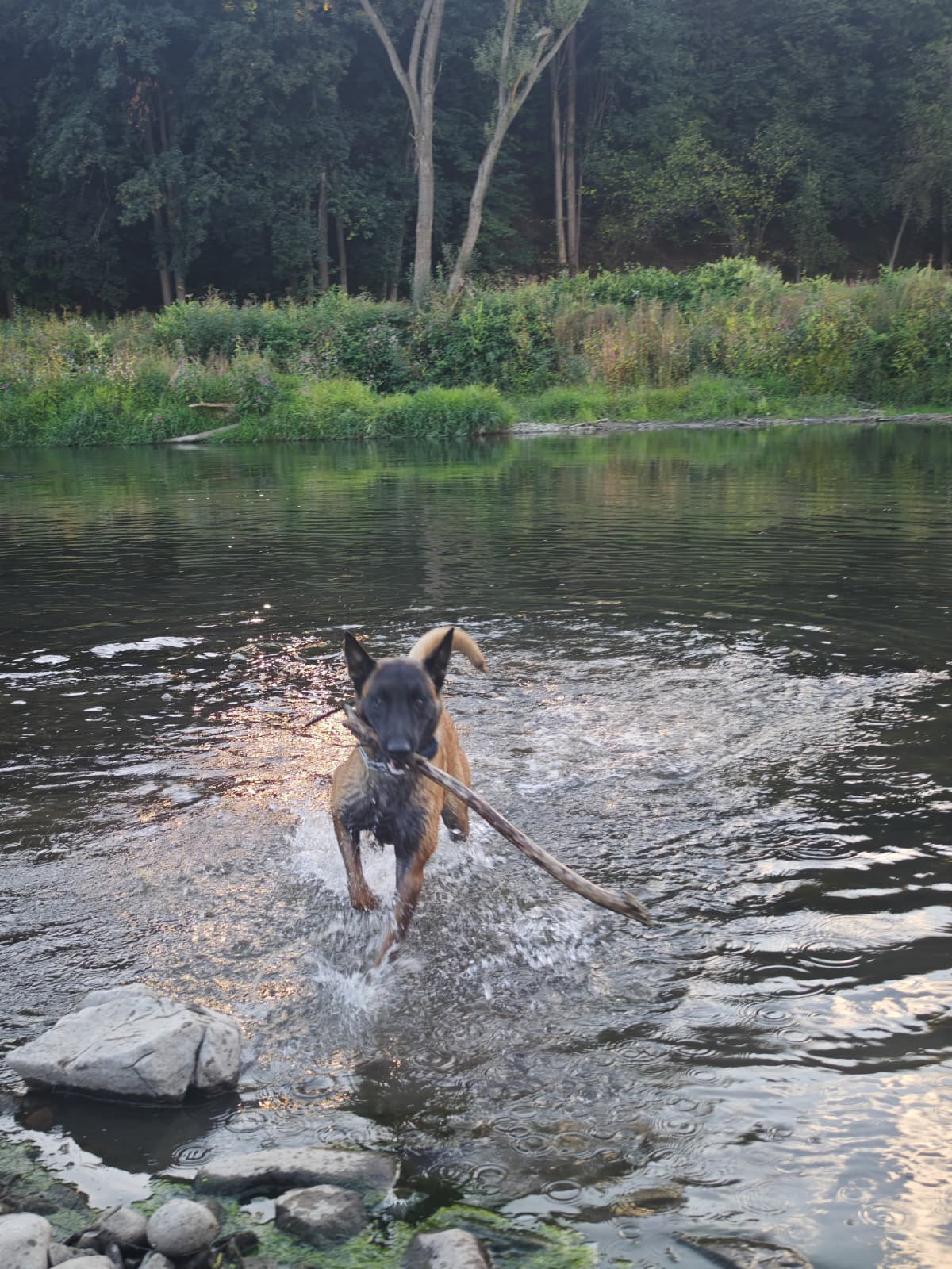szkolenie rzeka palka 2