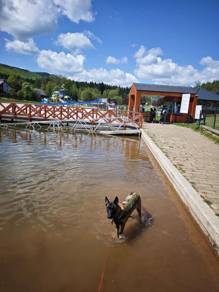 szkolenie basen woda