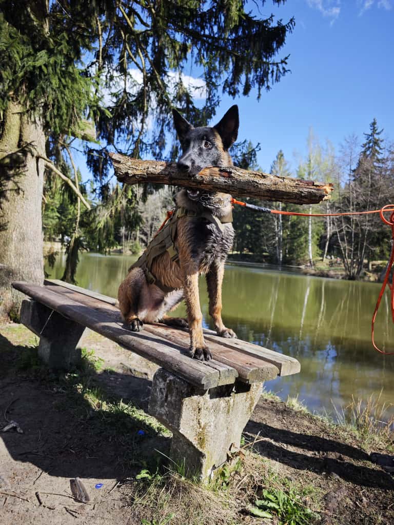 szkolenie z przewodniczka