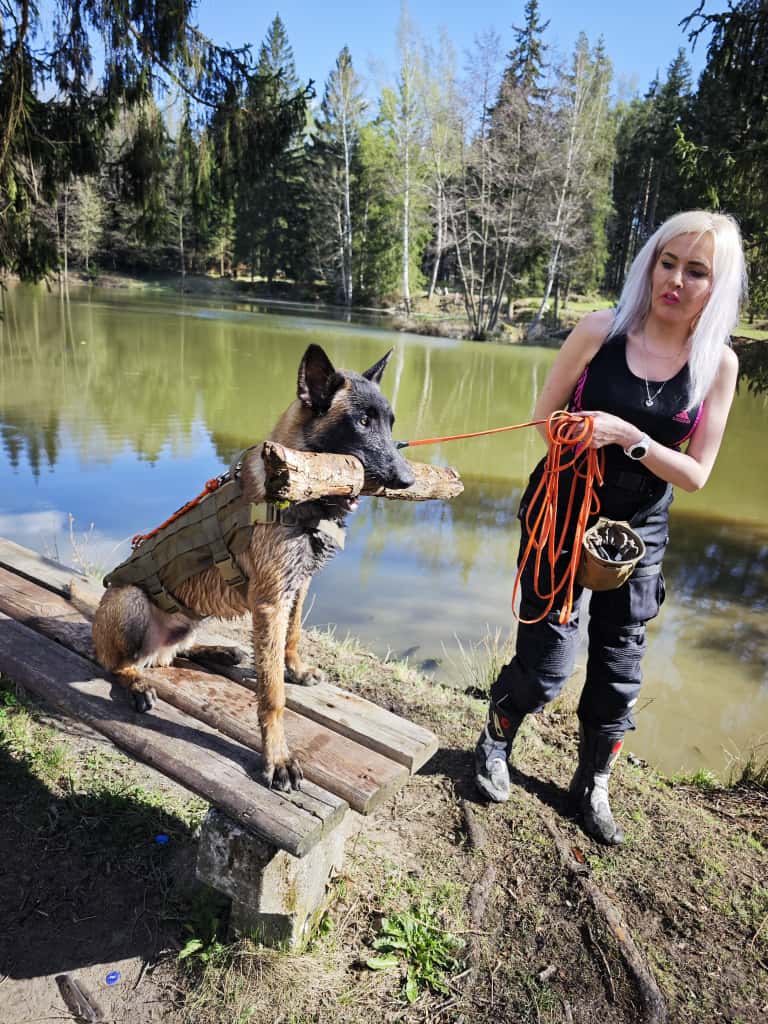 szkolenie aport jezioro