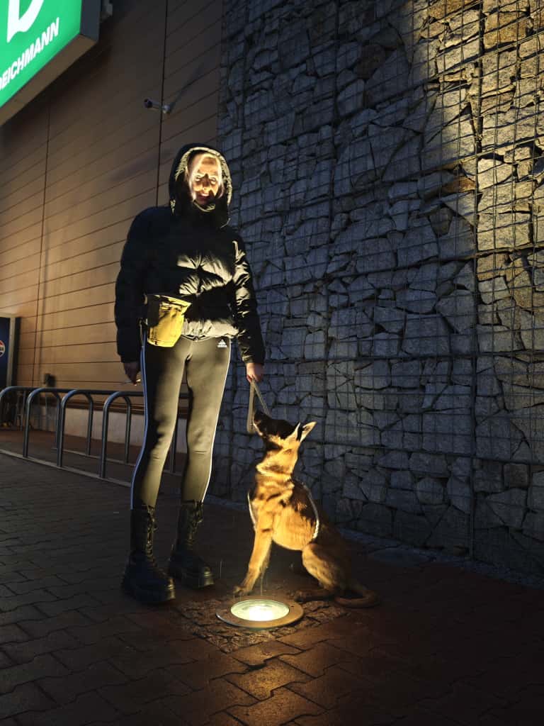 szkolenie agility slalom 3