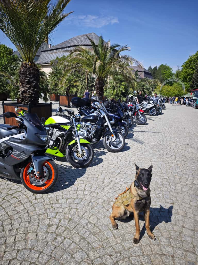 motocyklisci wydarzenie