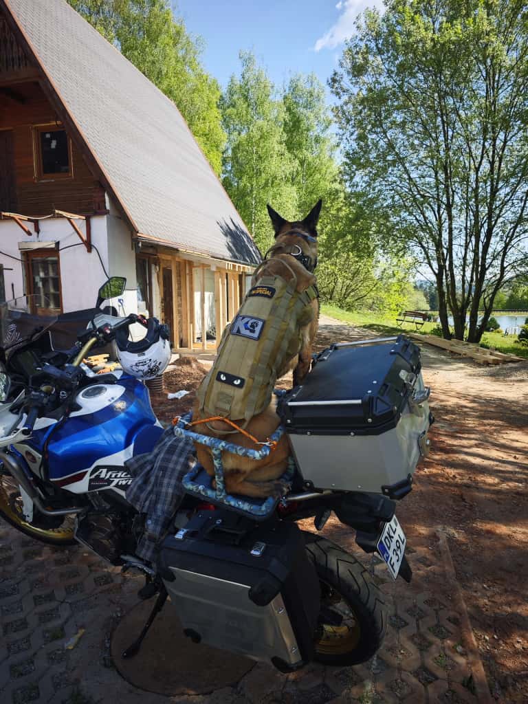 motocyklista portret