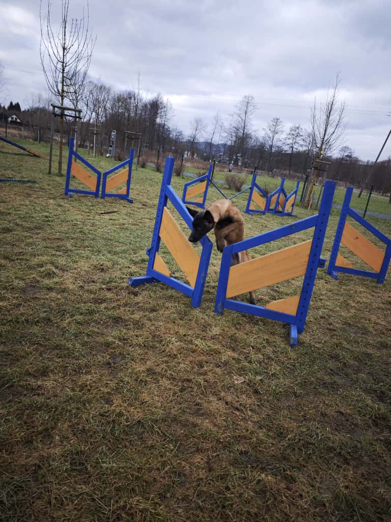 demonstracja w miescie