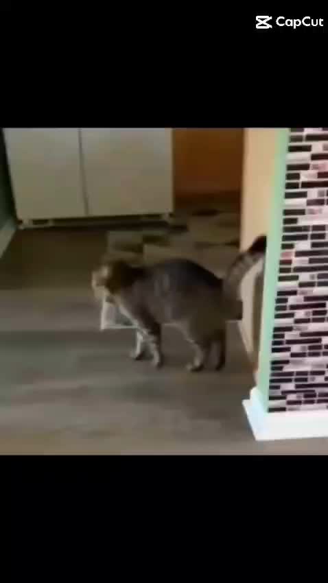 TikTok video