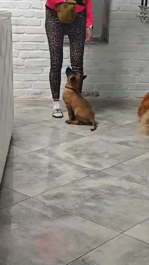 TikTok video