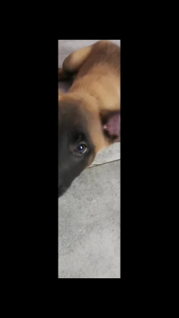 TikTok video