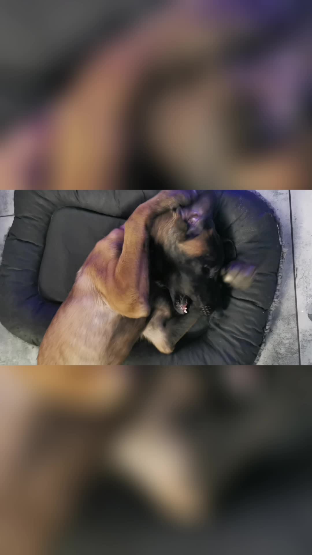 TikTok video