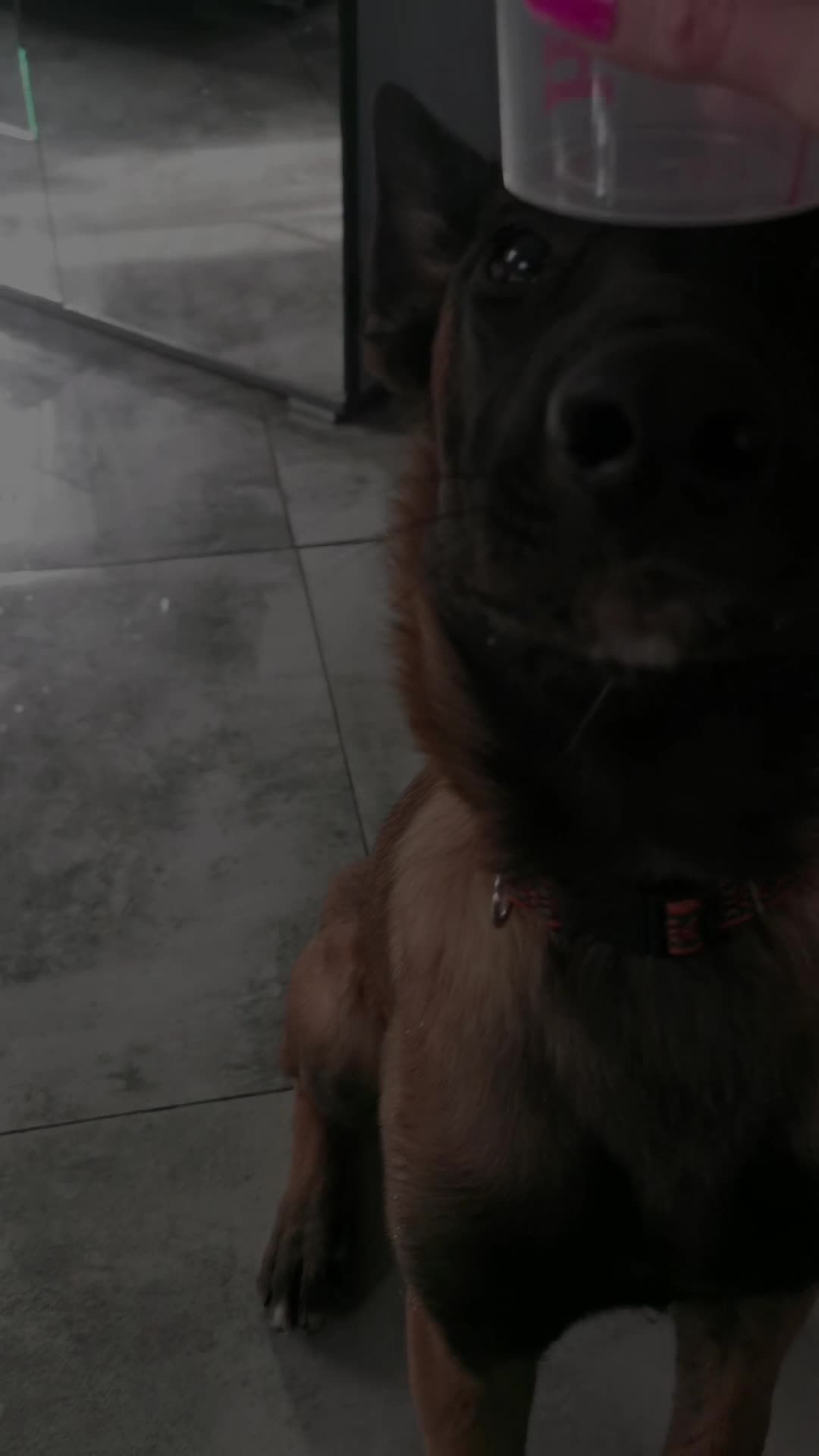 TikTok video