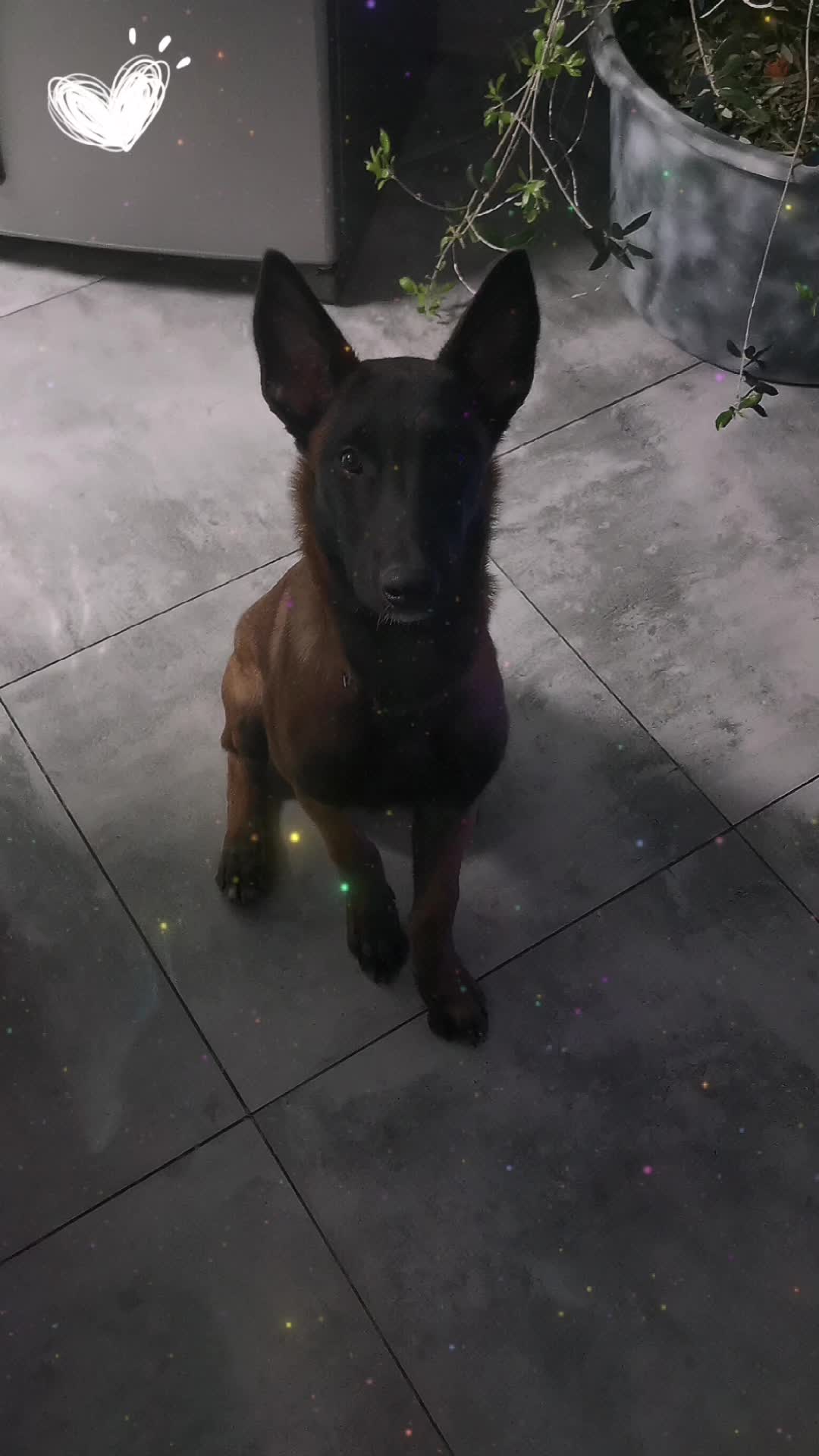 TikTok video