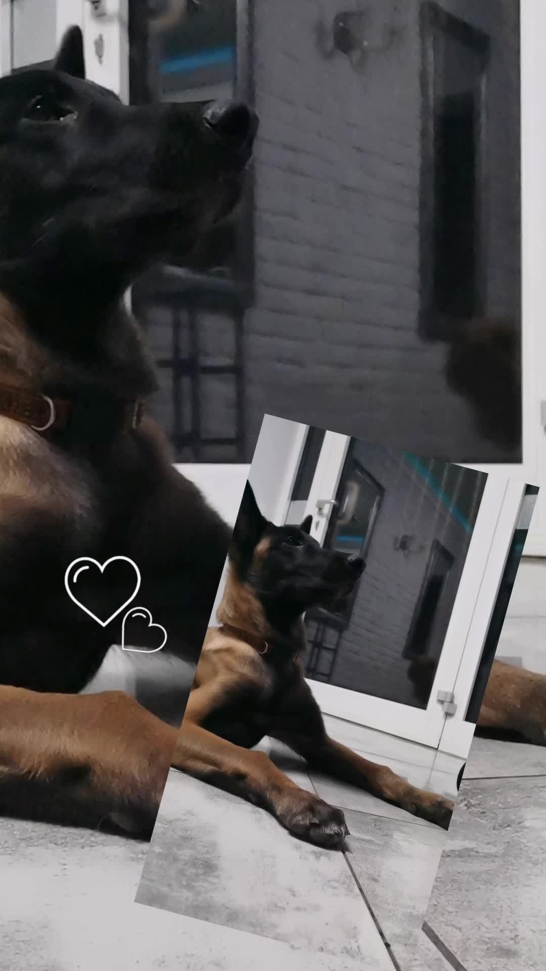 TikTok video