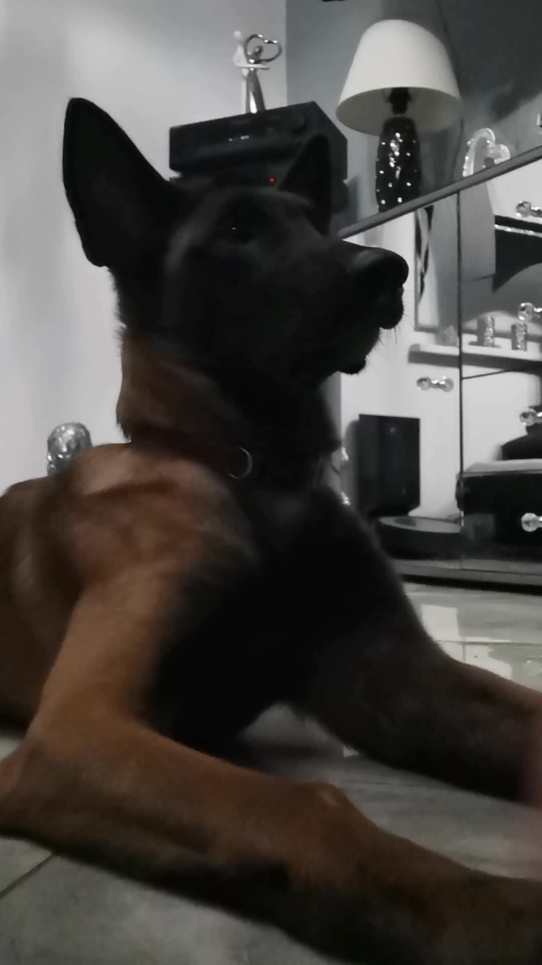 TikTok video
