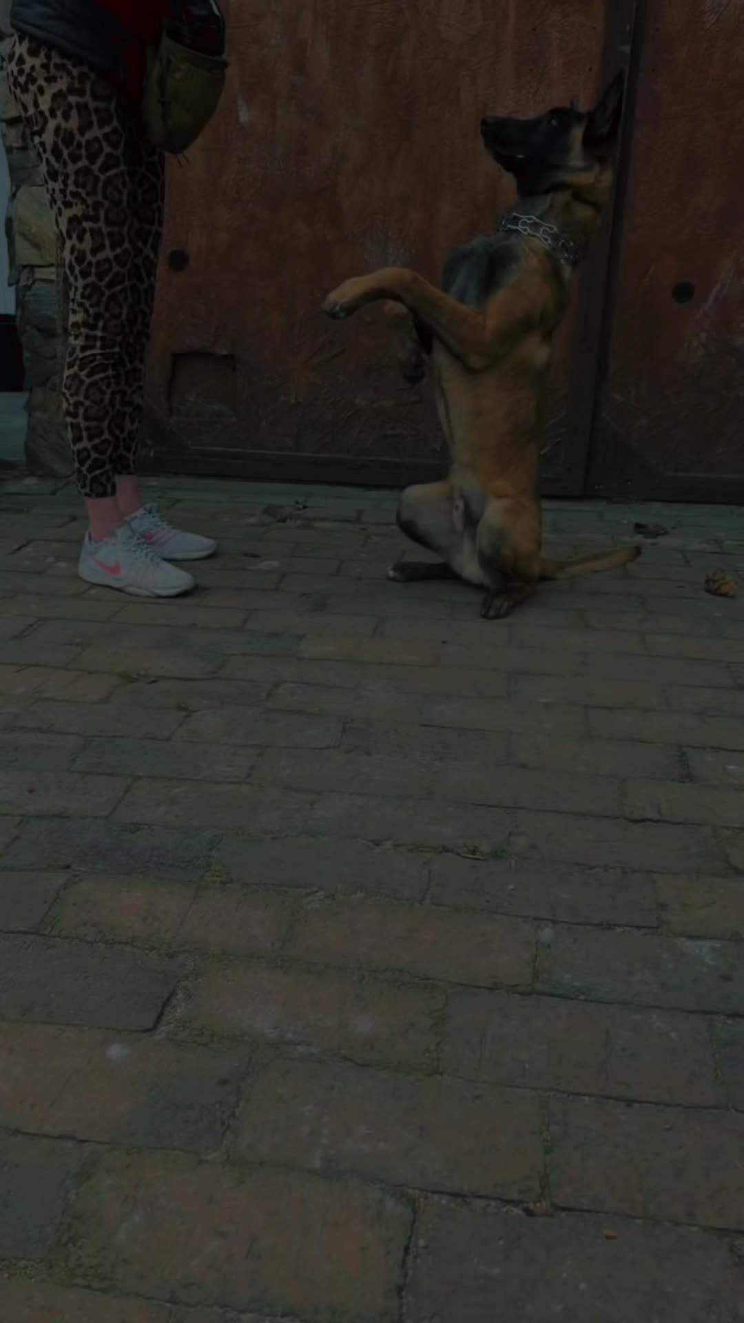 Nauka chodzenia po ścianie