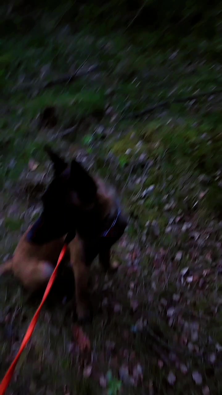 TikTok video