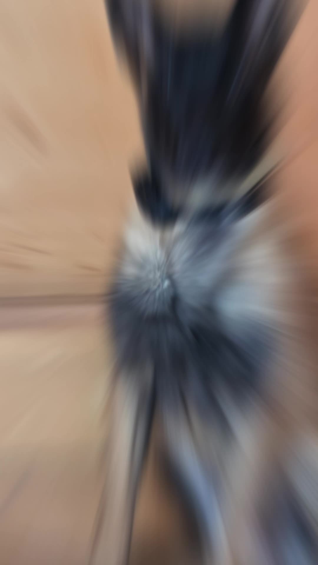 TikTok video
