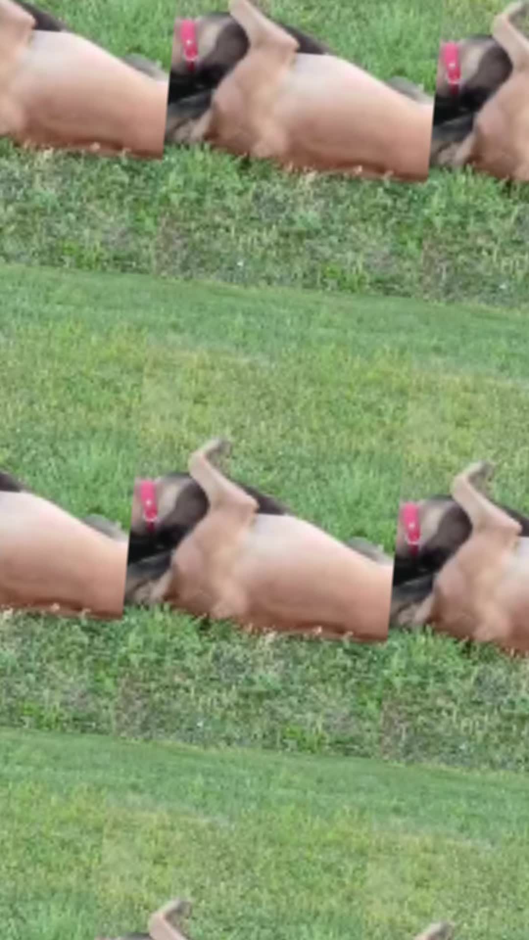 TikTok video