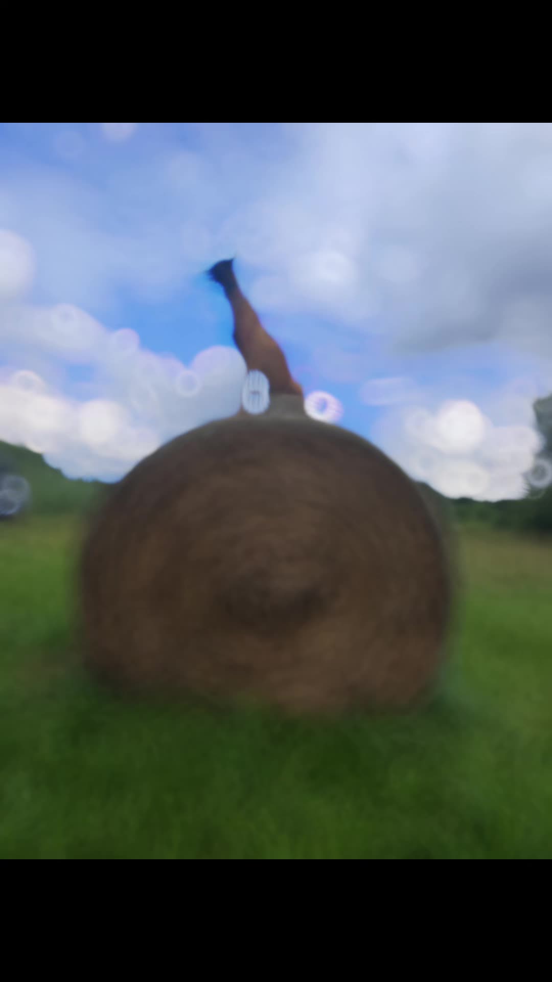 TikTok video
