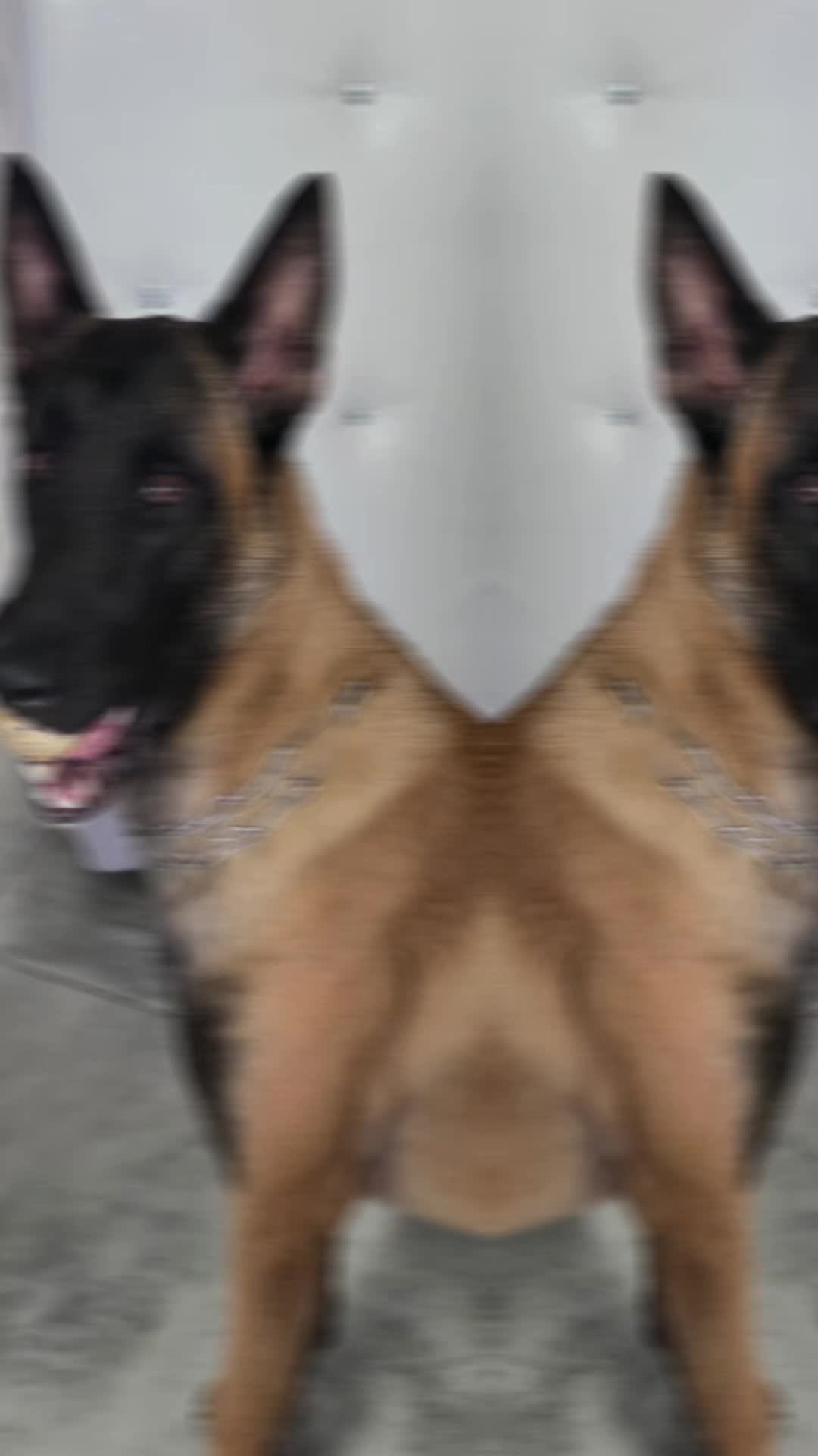 TikTok video
