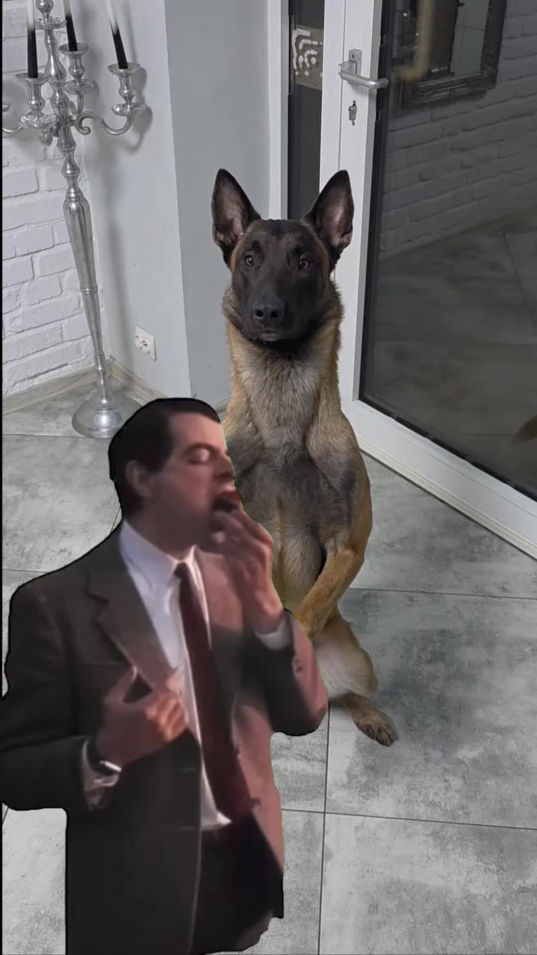 TikTok video