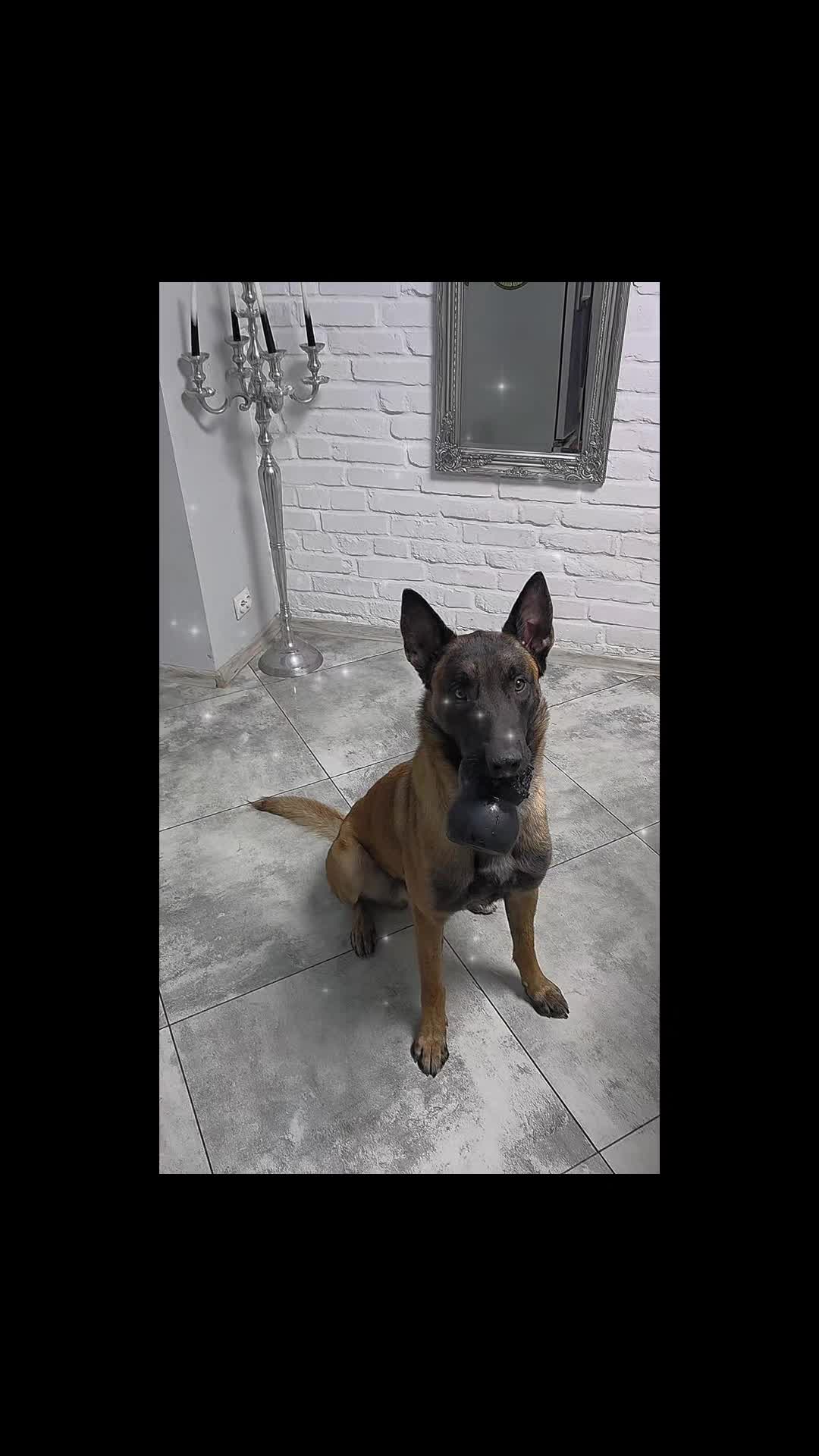TikTok video
